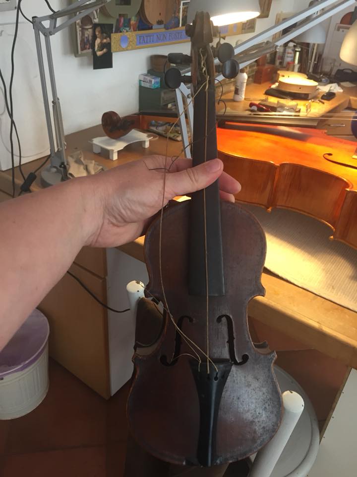 Original gut strings on a little old violin Daniela Gaidano